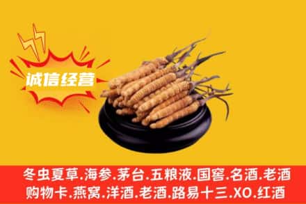 兴仁市回收冬虫夏草
